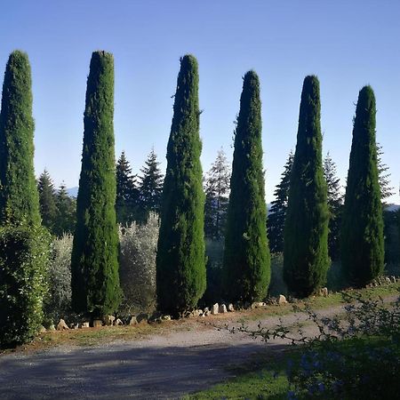 Casa Marconi Villa Vetriano Exterior photo