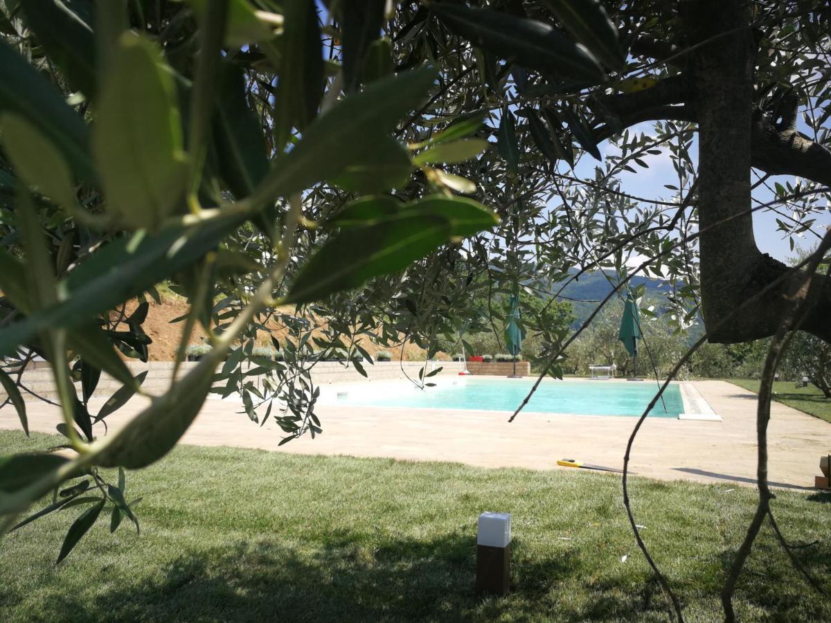 Casa Marconi Villa Vetriano Exterior photo
