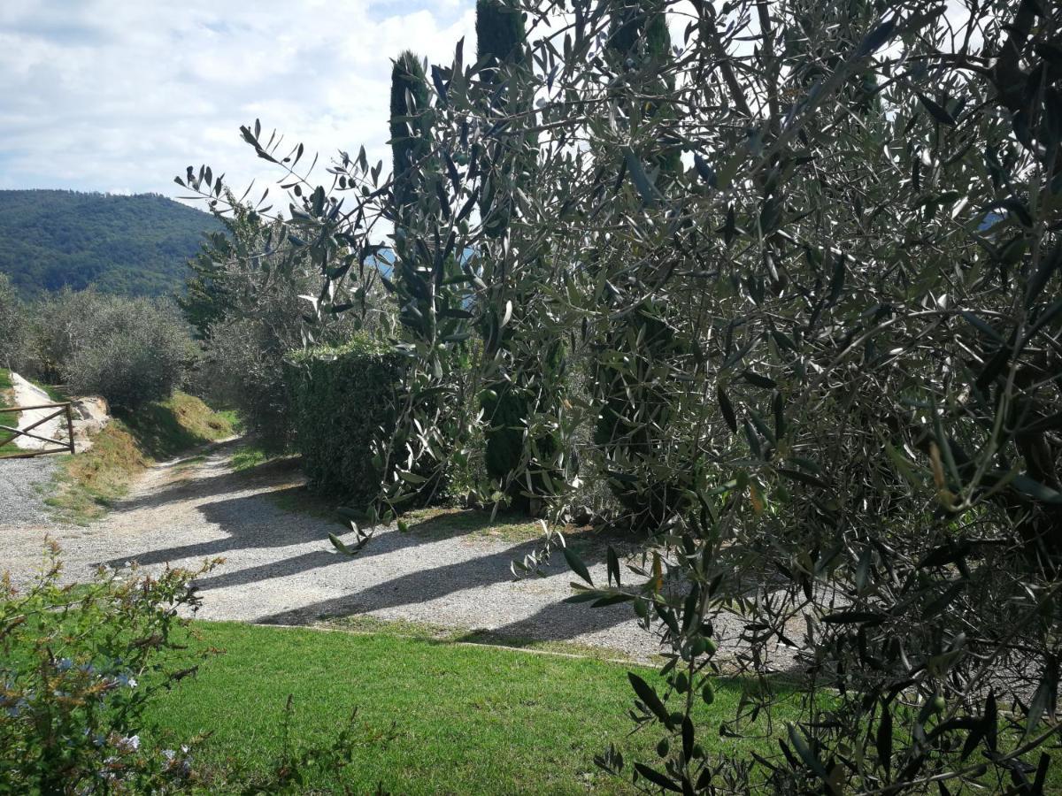 Casa Marconi Villa Vetriano Exterior photo