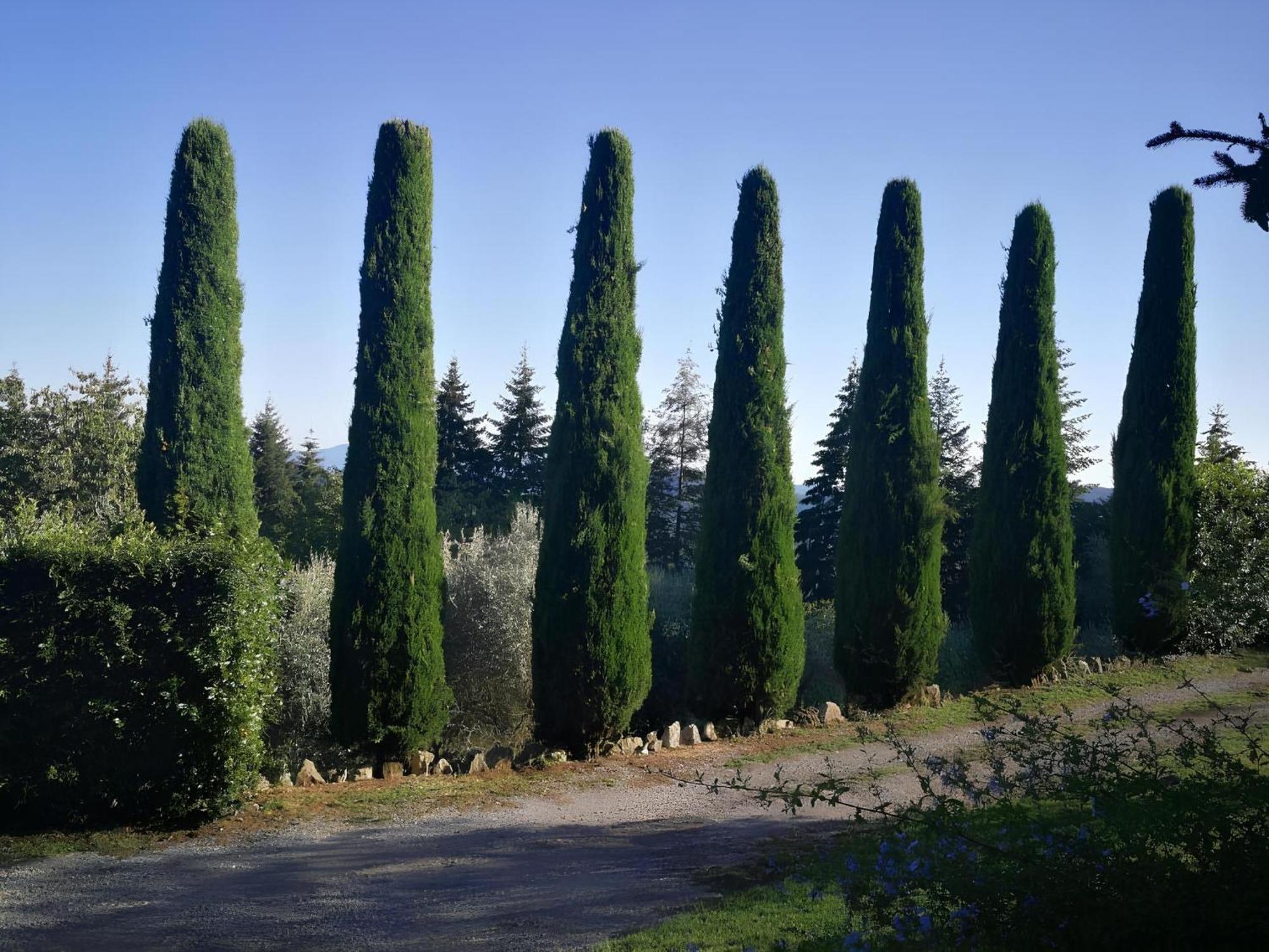 Casa Marconi Villa Vetriano Exterior photo